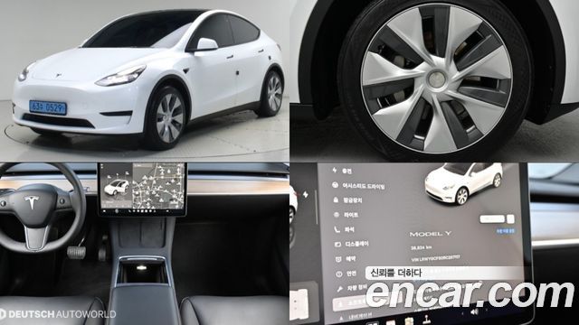 Tesla Model Y RWD — пробег 38 800 км — фото 1 из 3