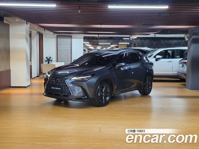 Lexus NX Premium — пробег 62 287 км — фото 1 из 5