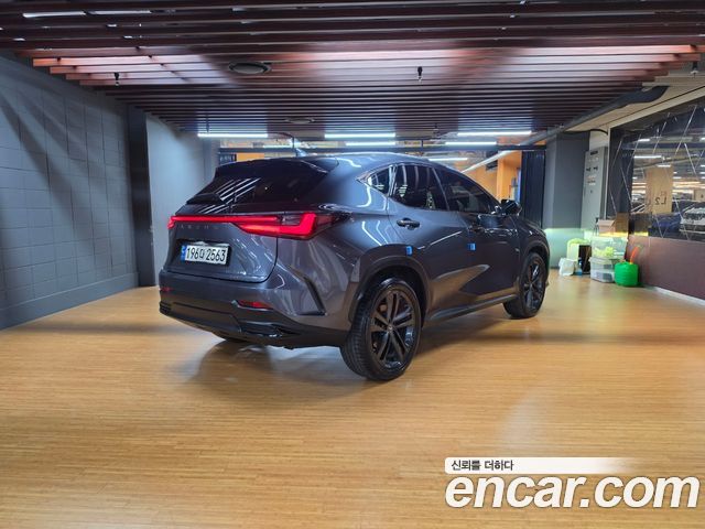 Lexus NX Premium — пробег 62 287 км — фото 2 из 5