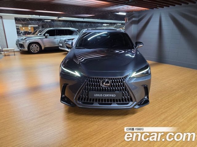 Lexus NX Premium — пробег 62 287 км — фото 3 из 5