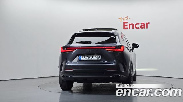 Lexus NX Luxury — пробег 14 278 км — фото 4 из 5