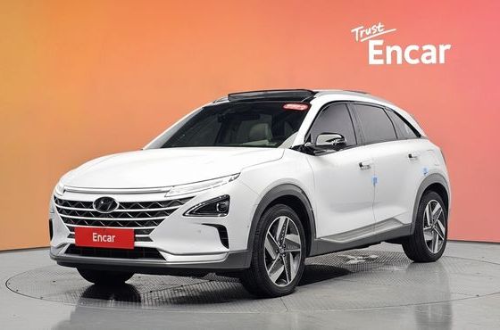 Hyundai Nexo Premium — пробег 47 015 км — фото 1 из 5