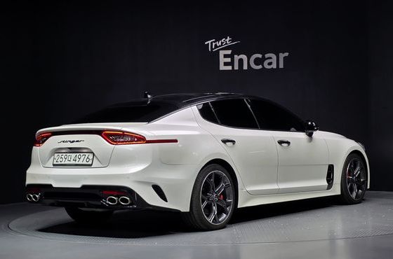 Kia Stinger 2.0 Turbo 2WD Platinum — пробег 60 598 км — фото 2 из 5