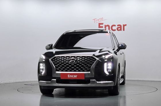 Hyundai Palisade Diesel 2.2 2WD VIP — пробег 174 178 км — фото 3 из 5