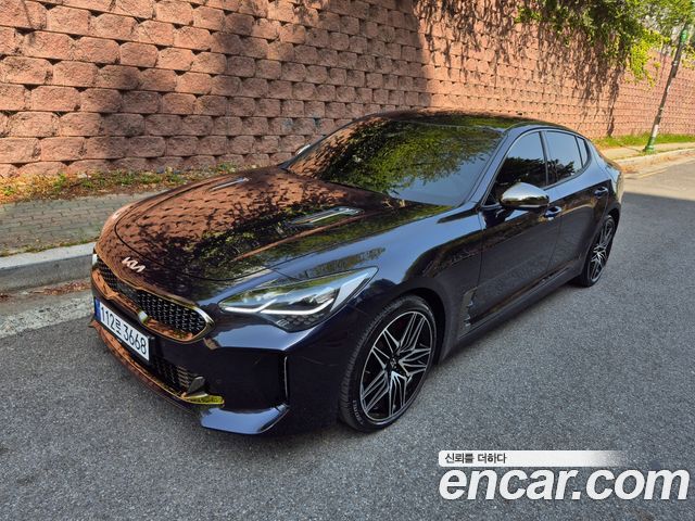 Kia Stinger 2.5 Masters — пробег 45 000 км — фото 2 из 5
