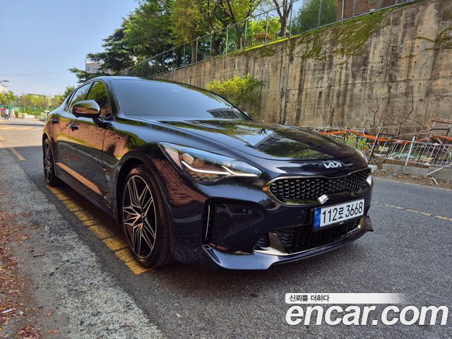 Kia Stinger 2.5 Masters — пробег 45 000 км — фото 3 из 5