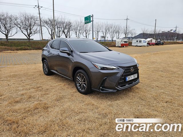 Lexus NX из Кореи Encar