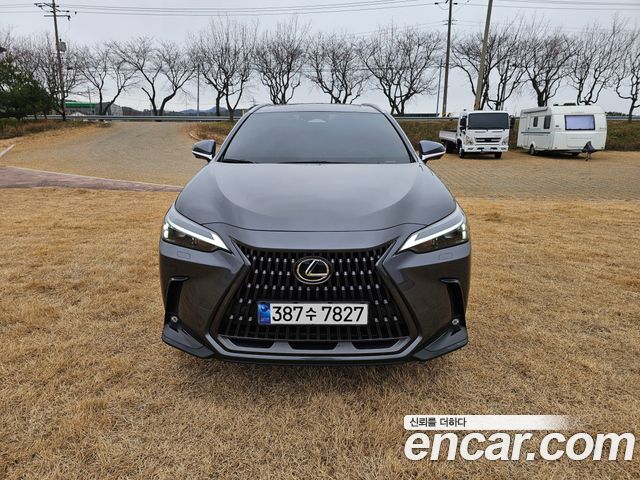 Lexus NX из Кореи Encar