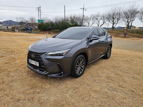 Lexus NX Premium — пробег 23 572 км — фото 3 из 5