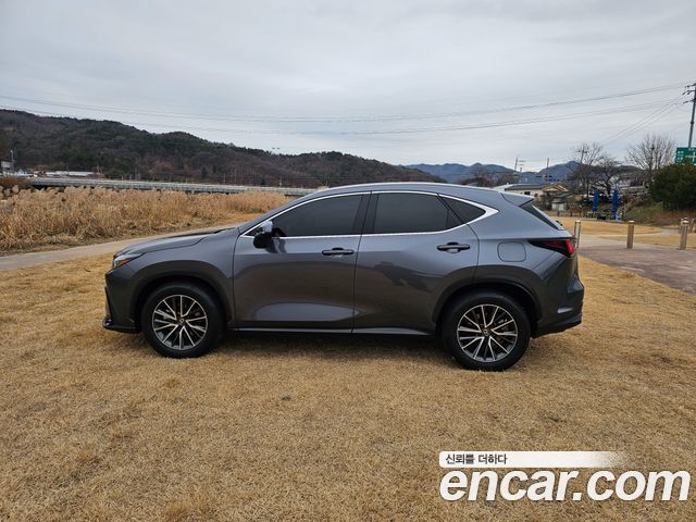 Lexus NX из Кореи Encar