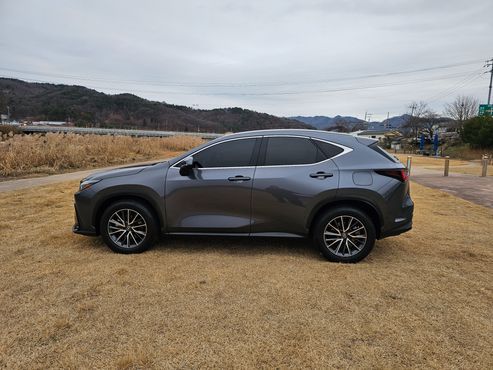 Lexus NX Premium — пробег 23 572 км — фото 4 из 5