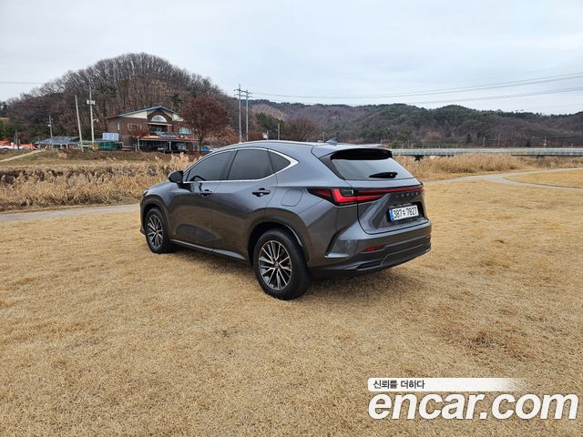 Lexus NX из Кореи Encar