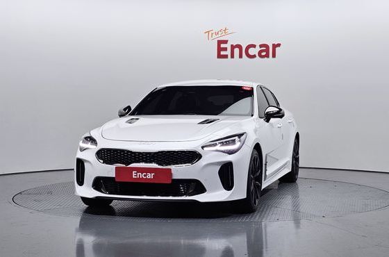 Kia Stinger 2.5 Masters ACRO EDITION — пробег 85 213 км — фото 3 из 5