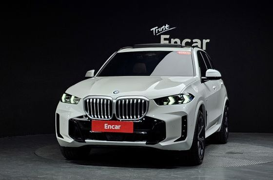 BMW X5 xDrive 40i M Sport — пробег 5 004 км — фото 3 из 5