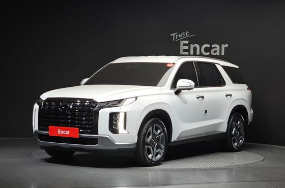 Hyundai Palisade Diesel 2.2 2WD Prestige — пробег 17 099 км — фото 1 из 5