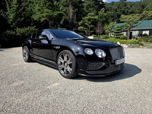 Bentley Continental 4.0 GT — пробег 47 844 км — фото 1 из 5