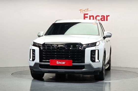 Hyundai Palisade Diesel 2.2 4WD Le Blanc — пробег 52 117 км — фото 3 из 5