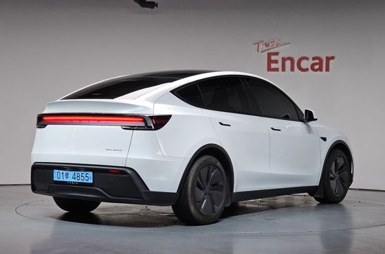 Tesla Model Y Long Range AWD — пробег 11 446 км — фото 2 из 5