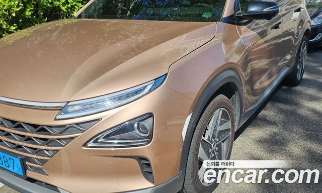 Hyundai Nexo Premium — пробег 77 300 км — фото 1 из 5