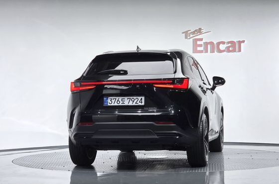 Lexus NX Premium — пробег 25 178 км — фото 4 из 5
