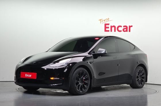 Tesla Model Y Long Range AWD — пробег 50 876 км — фото 1 из 5