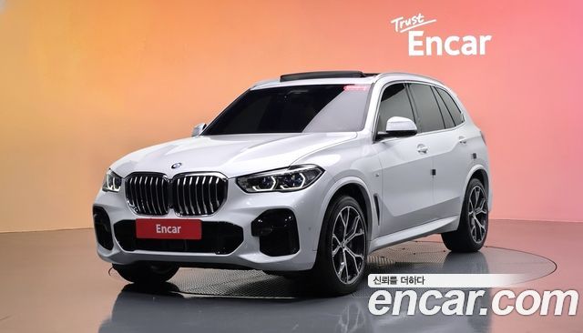 BMW X5 xDrive 40i M Sport — пробег 73 875 км — фото 1 из 5