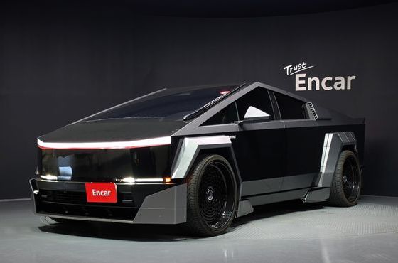 Tesla Cybertruck AWD — пробег 29 978 км — фото 1 из 5