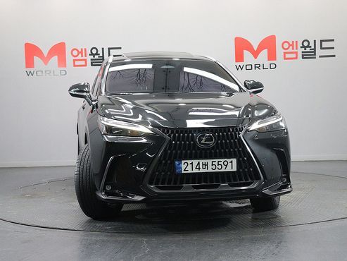 Lexus NX Premium — пробег 28 062 км — фото 2 из 5
