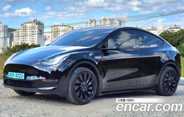 Tesla Model Y из Кореи Encar