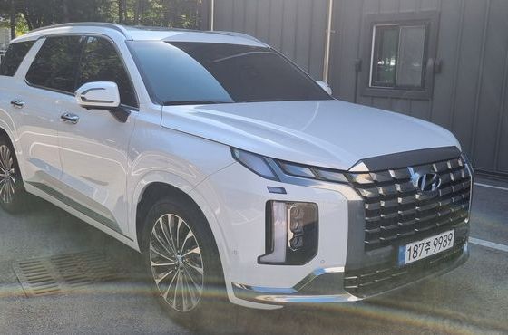 Hyundai Palisade Gasoline 3.8 4WD Calligraphy — пробег 16 900 км — фото 2 из 5