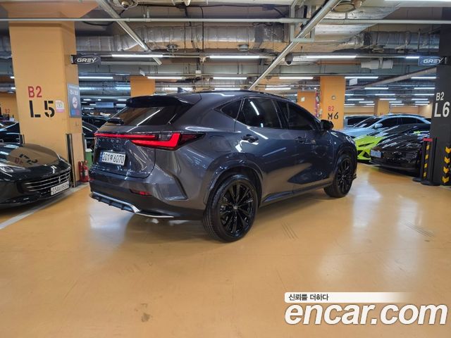 Lexus NX F-Sport — пробег 40 756 км — фото 2 из 5
