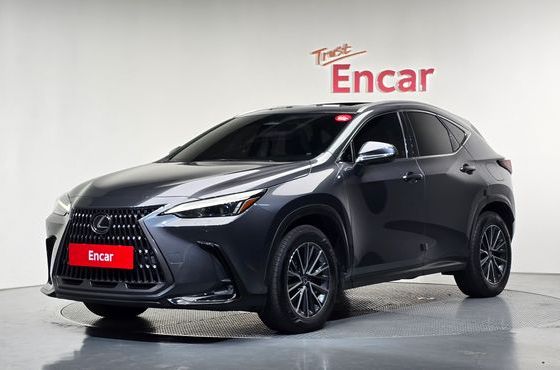 Lexus NX Premium — пробег 69 840 км — фото 1 из 5