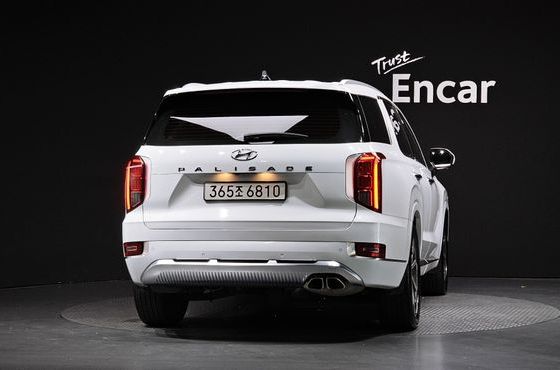 Hyundai Palisade Diesel 2.2 2WD Calligraphy — пробег 96 117 км — фото 4 из 5