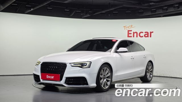 Audi A5 2.0 TDI Quattro dynamic Sportback 8TA — пробег 249 617 км — фото 1 из 5