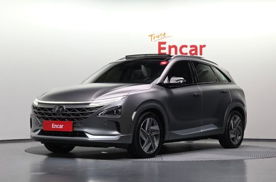 Hyundai Nexo Premium — пробег 130 104 км — фото 1 из 5
