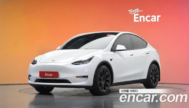 Tesla Model Y Long Range AWD — пробег 93 543 км — фото 1 из 5