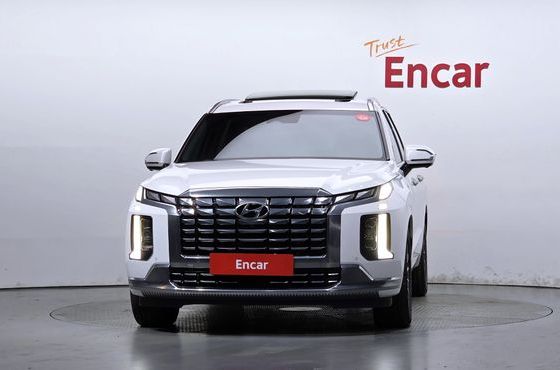 Hyundai Palisade Diesel 2.2 4WD VIP — пробег 109 169 км — фото 3 из 5