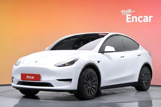 Tesla Model Y RWD — пробег 44 626 км — фото 1 из 5