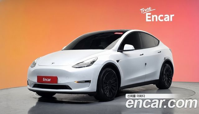 Tesla Model Y Long Range AWD — пробег 73 504 км — фото 1 из 5