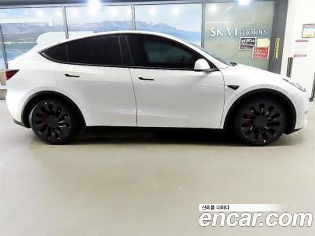 Tesla Model Y Performance AWD — пробег 33 100 км — фото 3 из 5