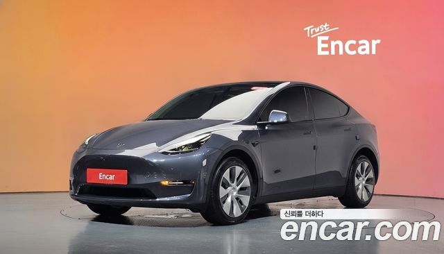 Tesla Model Y Long Range AWD — пробег 44 173 км — фото 1 из 5