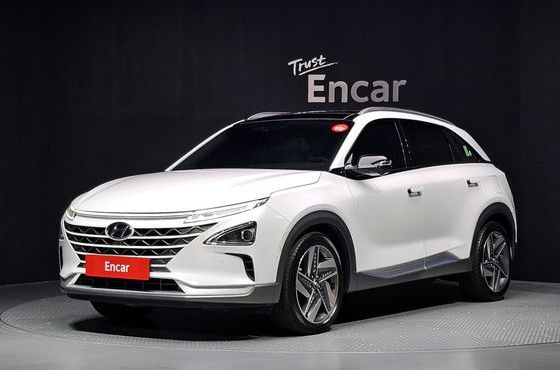 Hyundai Nexo Premium — пробег 40 117 км — фото 1 из 5