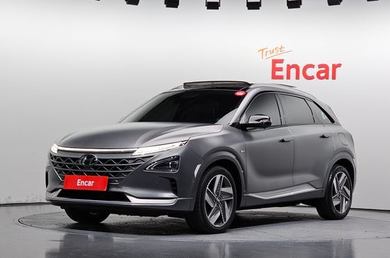 Hyundai Nexo Premium — пробег 102 488 км — фото 1 из 5