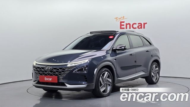 Hyundai Nexo Premium — пробег 115 402 км — фото 1 из 5