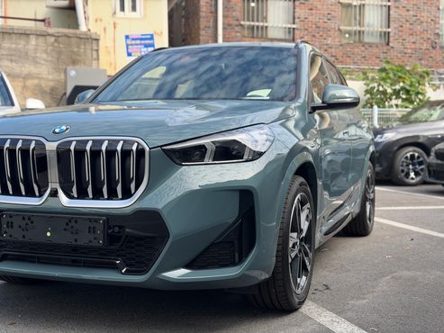 BMW X1 xDrive 20i M Sport — пробег 10 км — фото 1 из 5