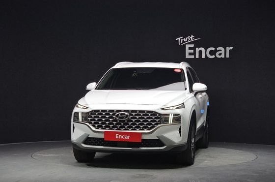 Hyundai Santafe Diesel 2.2 4WD Exclusive — пробег 87 655 км — фото 3 из 5