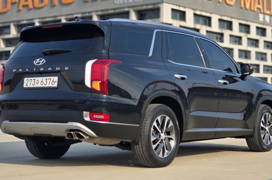 Hyundai Palisade Diesel 2.2 2WD Exclusive — пробег 68 204 км — фото 4 из 5