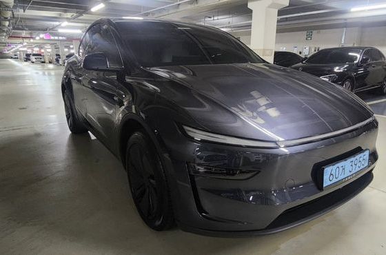 Tesla Model Y RWD — пробег 500 км — фото 2 из 5