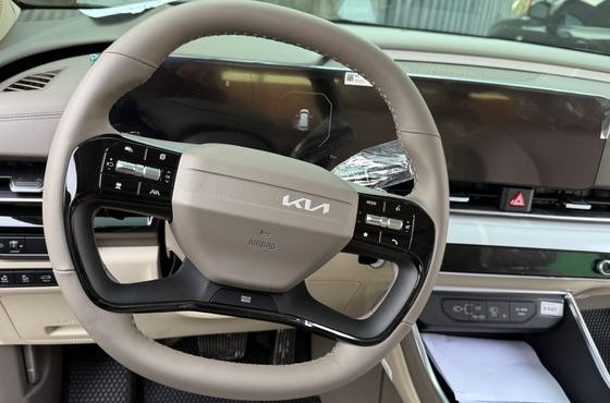 Kia Carnival HEV 7-Seater X Line — пробег 10 000 км — фото 4 из 5