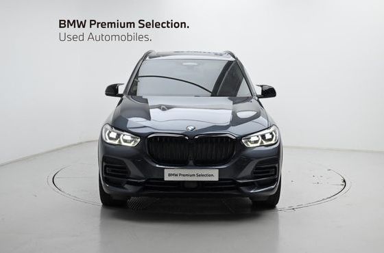BMW X5 xDrive 30d xLine — пробег 119 903 км — фото 3 из 5